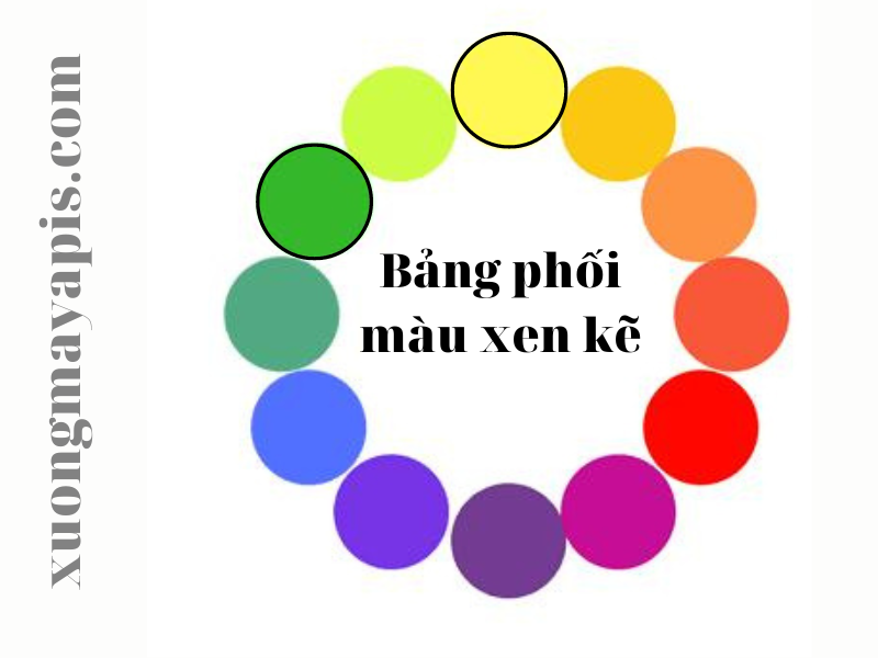 Bảng phối màu xen kẽ