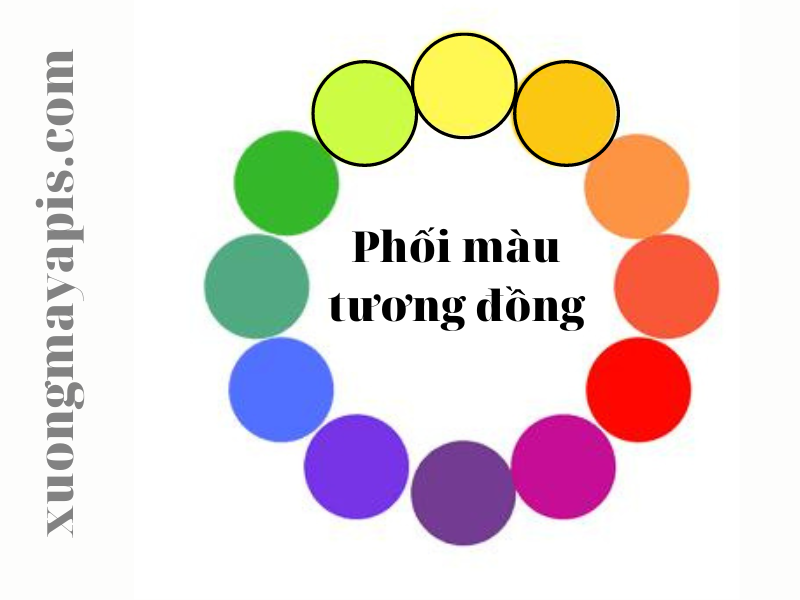 Phối màu tương đồng